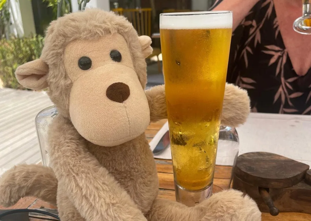 Spunky the Monkey enjoying a crisp pint.