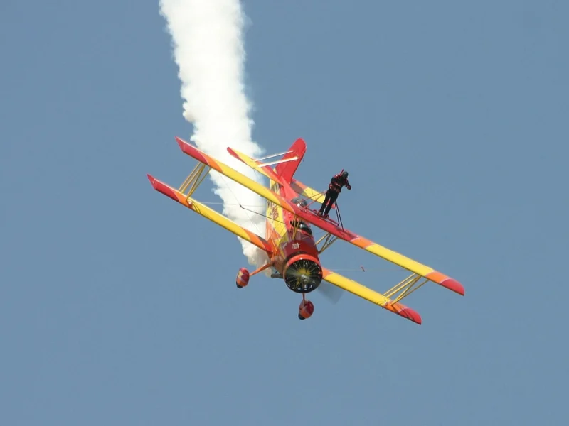 Wing Walking