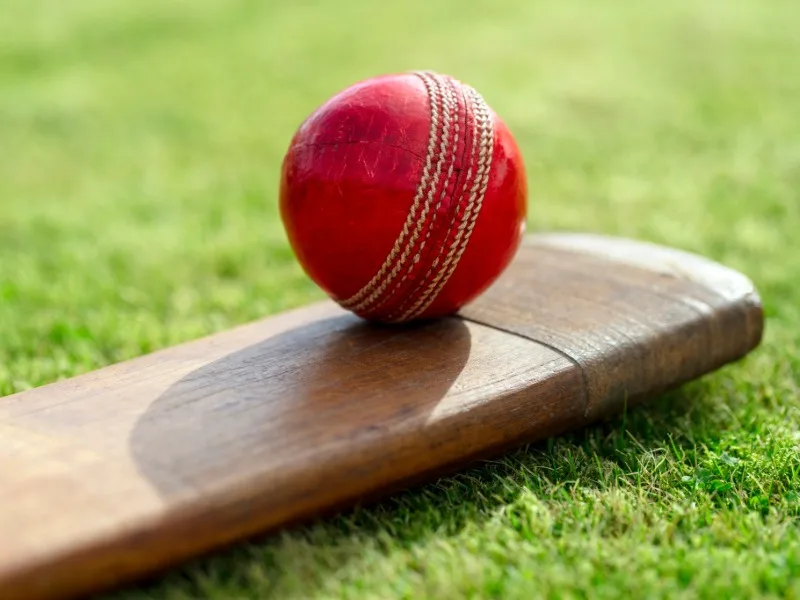 A red cricket ball sitting atop a wooden bat on a grassy surface.